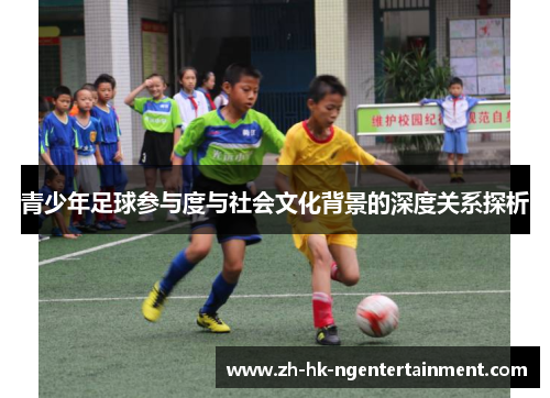 青少年足球参与度与社会文化背景的深度关系探析 青少年足球参与度与社会文化背景的深度关系探析