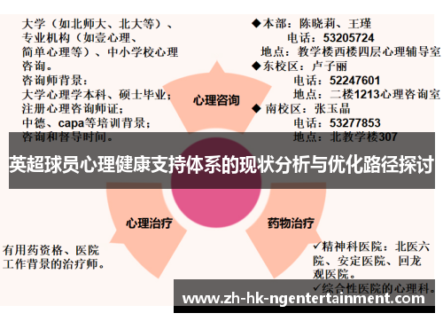 英超球员心理健康支持体系的现状分析与优化路径探讨